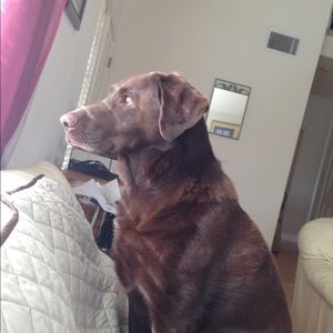 Meet your Posher, Steph